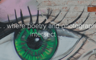 Flowtography cover