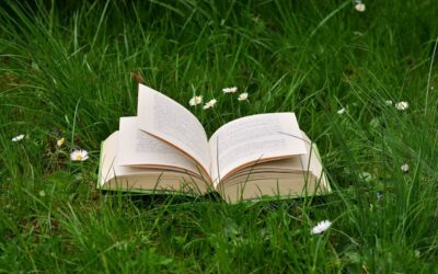 summer reading book