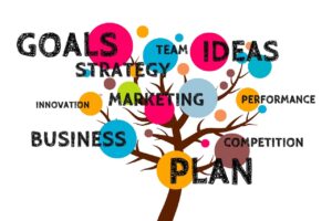 startup goals - Anderson Insurance Agency