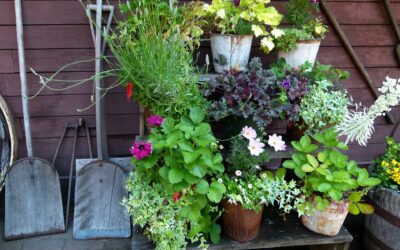 Gardening