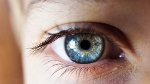 eyes