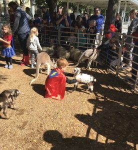 roughriders Pettingzoo