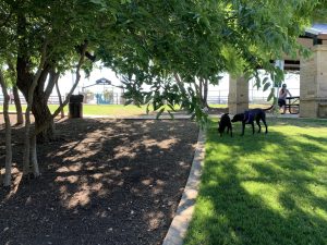 Ruff Range Dog Park 12