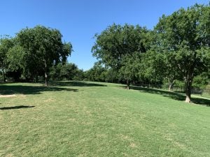 Ruff Range Dog Park 13