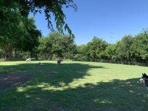 Ruff Range Dog Park 9