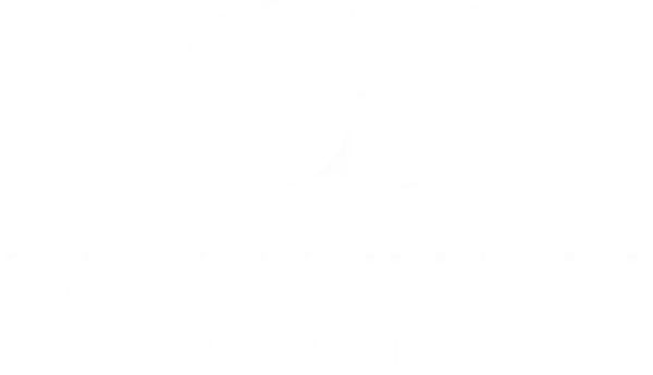 Carrie Himel Group